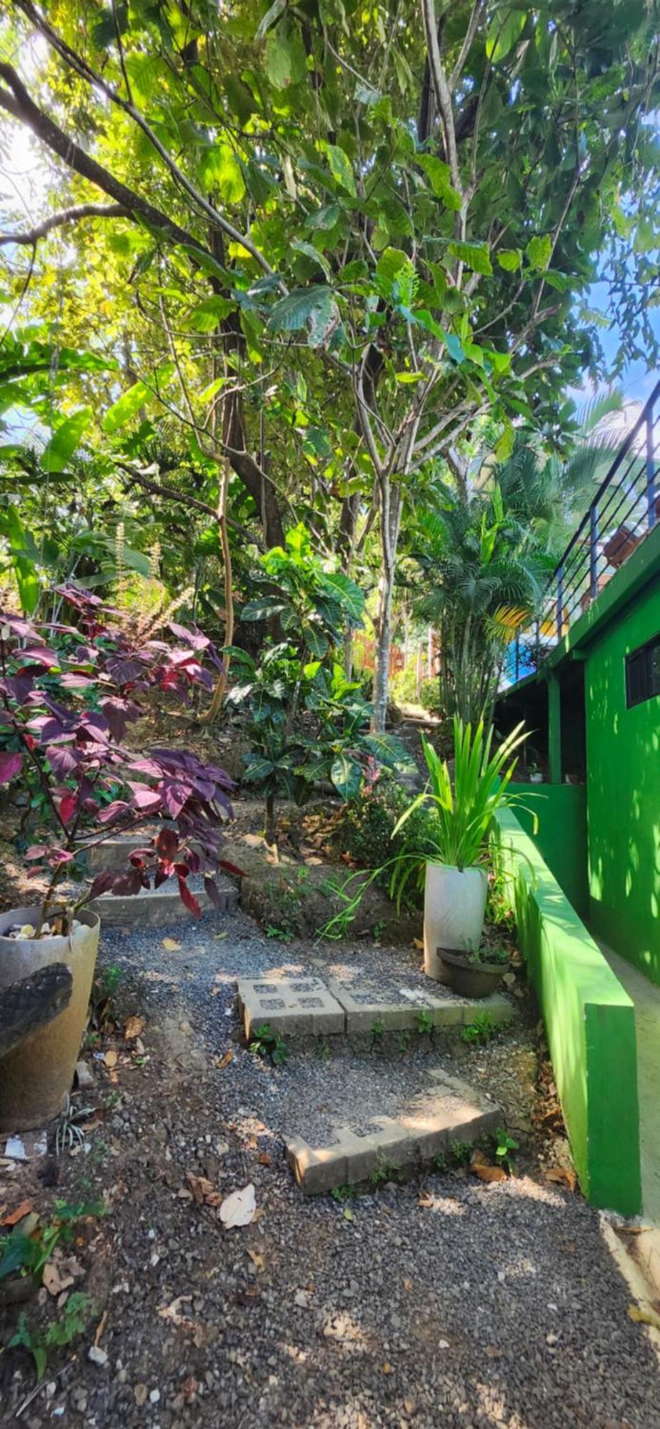 Sunshine Sanctuary Boutique Jungle Lodge Montezuma Exterior photo